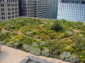 Chicago City Hall’s Rooftop Garden consists of 20,000 plants of more than 150 species and planted in 2000 as a demonstration project