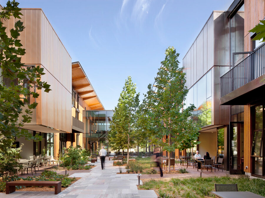 Net Zero Energy Through Design and Operation Strategies