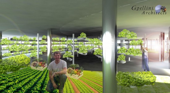 5 Terre Style Vertical Farm’s indoor farming area. (Image courtesy of Capellini Architects)