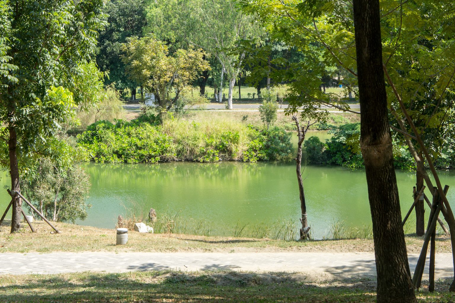 The eco-ponds not only provide sheltered biological habitats but also serve as stormwater detention ponds for the Taiwan National Stadium. (Photo by Mignon O’Young)