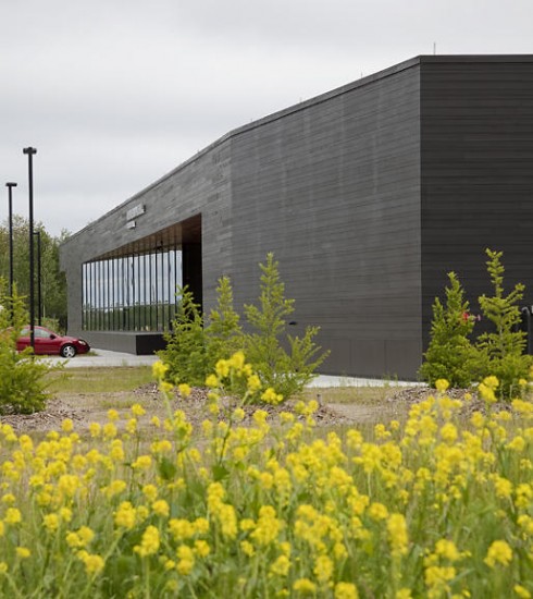 Native plantings planted at the U.S. Land Port of Entry designed by Snow Kreilich Architects, Inc. provide a vibrant backdrop/foreground for the building. (Photo by Frank Ooms)