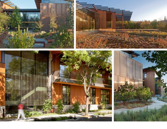The David and Lucile Packard Foundation Headquarters is set within a vibrant, regenerative ecosystem. (Photo by Jeremy Bittermann and courtesy of Joni L. Janecki & Associates, Inc.)