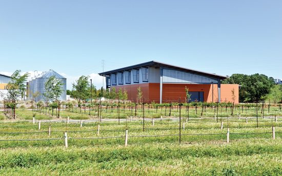 The Jess Jackson Sustainable Winery Building designed by Siegel & Strain Architects is part of the Research Winery and August A. Busch III Brewery and Food Science Laboratory (BWF) at the University of California, Davis. (Photo by Jasper Sanidad)