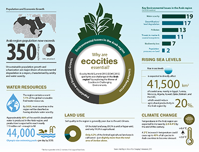 Why ecocities are essential in the Arab region.  (Image Courtesy http://smartwebagency.co.uk)